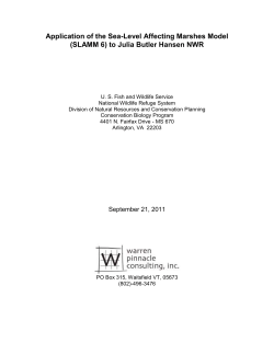 Introduction - Warren Pinnacle Consulting, Inc.