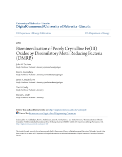 Biomineralization of Poorly Crystalline Fe(III)