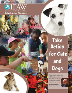 Take Action for Cats and Dogs - International Fund for Animal Welfare