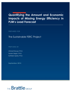 Quantifying the Amount and Economic Impacts of Missing Energy