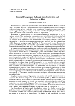 Internal Components Released from Rhinovirus and Poliovirus by