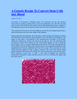 A Genetic Recipe To Convert Stem Cells into Blood