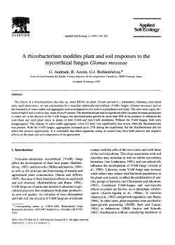 A rhizobacterium modifies plant and soil responses to the