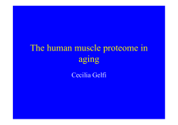 The human muscle proteome in aging