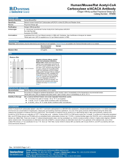 Human/Mouse/Rat Acetyl-CoA Carboxylase &alpha;/ACACA Antibody