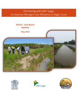 Partnering with MSF Sugar to Improve Nitrogen Use Efficiency in