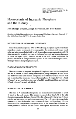 Homeostasis of Inorganic Phosphate and the Kidney