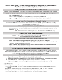 Strategy Team One: Board Infrastructure and Governance Strategy