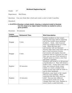 Engineering - Nest Building