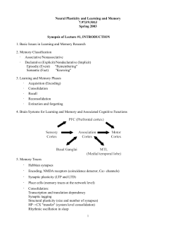 Synopsis of Lecture #1, INTRODUCTION