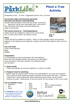 Parklife plant a tree activity