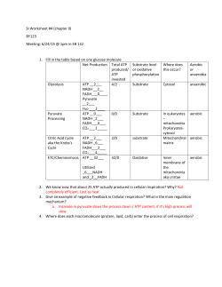 SI Worksheet #4 (chapter 9) BY123 Meeting: 6/24/15 @ 1pm in EB