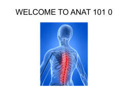 The Anatomy of a Distance Anatomy Course