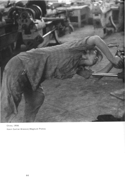 Machine and Organism