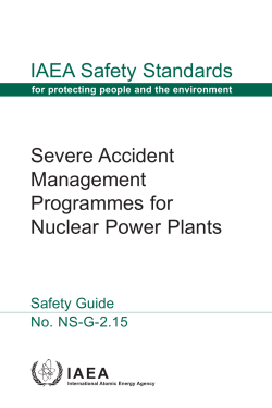 IAEA Safety Standards Severe Accident