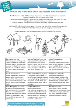 Animals and plants that live in the Bedford River Valley Park.pub