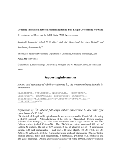 Banci, L
