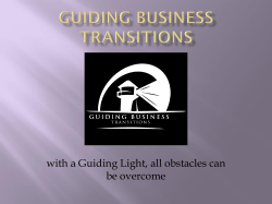 Guiding Business Transitions