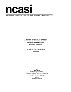 A Review of Biomass Carbon Accounting Methods and