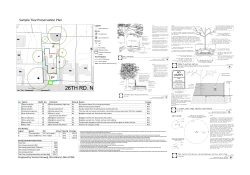 Sample Tree Preservation Plan