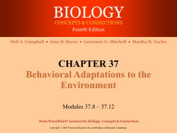 37.10 Animal movement may be oriented to stimuli or landmarks