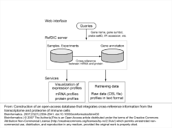 Construction of an open-access database that integrates cross