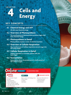 Cells and Energy