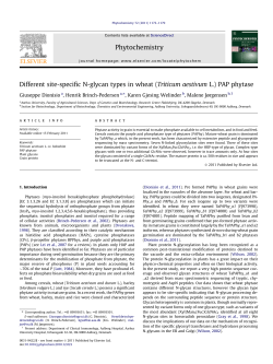 Different site-specific N-glycan types in wheat (Triticum aestivum L
