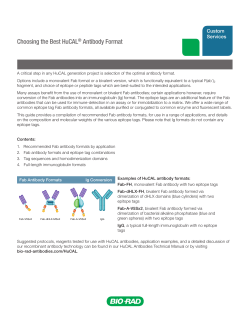 Choosing the Best HuCAL&reg; Antibody Format
