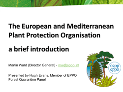 The European and Mediterranean Plant Protection