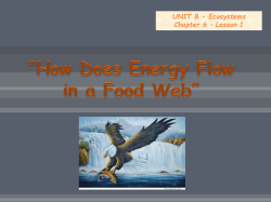 UNIT B - Ecosystems Chapter 6 &ndash; Lesson 1