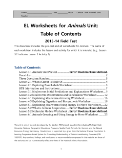 TE 401 Lesson Plans: Fall, 1997