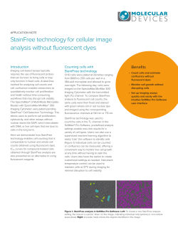 StainFree Technology, Cellular Image Analysis | Molecular Devices