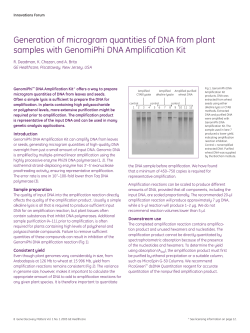 Generation of microgram quantities of DNA from plant samples with