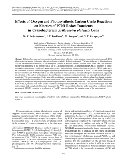 Effects of Oxygen and Photosynthesis Carbon Cycle Reactions on