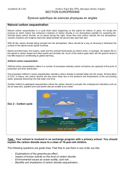 Natural carbon sequestration - Physique Chimie acad&eacute;mie de Lille