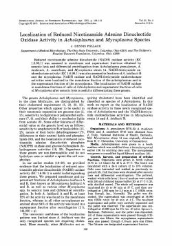 Localization of Reduced Nicotinamide Adenine Dinucleotide
