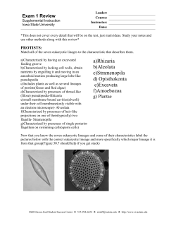 Exam 1 Review - Iowa State University