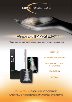Real-Time bioluminescence and fluorescence Imaging