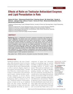 Effects of Rutin on Testicular Antioxidant Enzymes and Lipid