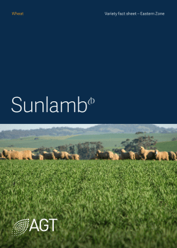 Sunlamb