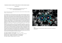 Exploring the molecular mechanisms of photosynthesis by ab initio