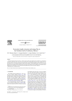 Ecosystem trophic structure and energy flux in the Northern Gulf of