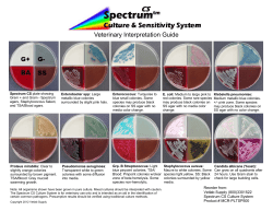 Spectrum CS Color interp chart Final.pub