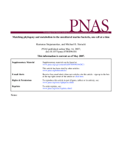 Matching phylogeny and metabolism in the uncultured marine
