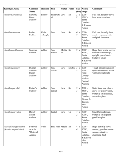 Plant List - Desert Survivors