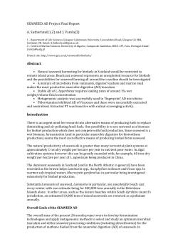 final1-seaweed-ad-final-report-overview