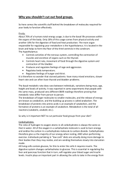 The Science Behind Metabolism - SEED | Eating Disorder Support