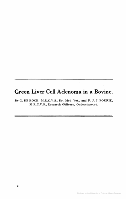 Green Liver Cell Adenoma in a Bovine