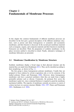 Fundamentals of Membrane Processes
